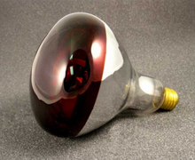 Load image into Gallery viewer, 250-watt infrared bulb for heat lamp 
